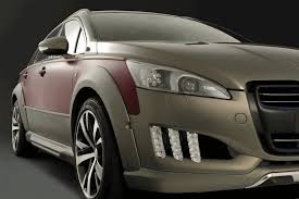 Image result for Brun Guaranja 2014 Peugeot