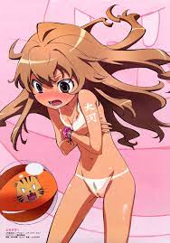 Toradora! Nude Filter Mania – Sankaku Complex