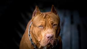 Maybe you would like to learn more about one of these? Wtoji21rfc2zlm