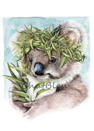 Koala Art Le Koala Watercolor Archival Print A4 Nursery Art N19 Koalas Koala Koala Bear