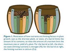 Essential Nutrients For Plants How Do Nutrients Affect Plant Growth