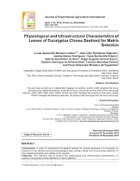 Quantum hydromech core business activities are focused on design, supply, construction, engineering, testing and commissioning of industrial waste water and sewage treatment plant on a turnkey basis. Pdf Physiological And Ultrastructural Characteristics Of Leaves Of Eucalyptus Clones Destined For Matrix Selection