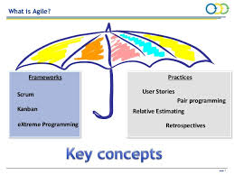 agile transformation in a large financial institution