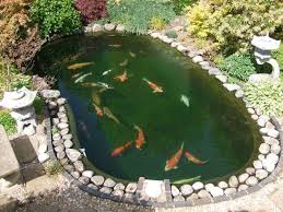 La Carpe Koi 42 Photos De La Star Des Bassins Archzine Fr Bassin Poisson Exterieur Bassin A Poisson Bassin Exterieur