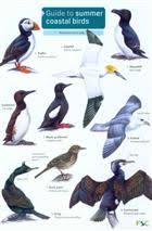 Guide To Summer Coastal Birds Identification Chart By