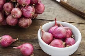 Khasiat dan pengolahan bawang (teori dan praktek). Cuma Dengan Kunyah Bawang Merah Mentah Setiap Hari Hal Luar Biasa Ini Akan Terjadi Dalam Tubuh Semua Halaman Sajian Sedap