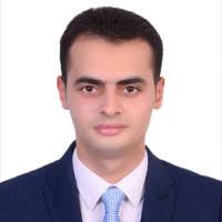 90+ "Mahmoud Faisal" profiles