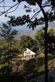 Tea plantations in darjeeling is a must things to do while you are in darjeeling. Hornbill House By Biome Environmental Solutions Faces Out Over An Indian Tea Plantation Decor10 Blog