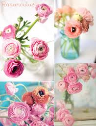 Pin On Pink