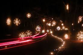 Dominion Garden Of Lights Norfolk Botanical Garden Http Www 10best Com Awards Travel Best Public Lights Display Garden Of Lights Light Display Holiday Lights