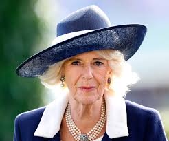 Why Camilla May Have Been Titled Queen Consort Instead of Princess Consort,  According to a New Book