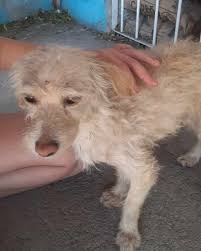 Alguien Sabe? yo se. Carlos Paz y zona