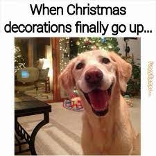 46 Christmas Memes Ideas Christmas Memes Funny Christmas Humor