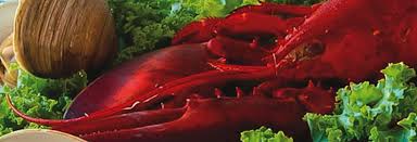 For the nature lovers, there is the aransas national wildlife refuge , the great texas coastal birding trail, goose island state park, whooping crane tours, and dolphin viewing tours. Restaurants In Rockport Ma Best Places To Eat In Rockport