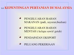 Menurut mentan amran sulaiman, paling tidak ada tiga negara yaitu malaysia, jerman, dan taiwan, yang ingin mempelajari jurus jitu indonesia dalam meningkatkan produksi padi secara cepat setelah. Ppt 1 1 Kepentingan Pertanian Di Malaysia Powerpoint Presentation Free Download Id 4559037