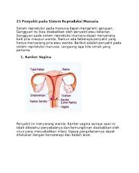 Maag merupakan penyakit yang sudah tidak aneh lagi untuk kita semua, karena penyakit yang satu ini biasanya dialami oleh banyak orang. Penyakit Pada Sistem Reproduksi Yang Disebabkan Oleh Virus Python