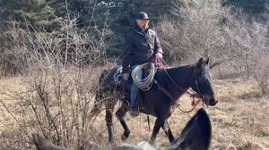 Asher Horsemanship het 'n nuwe foto...