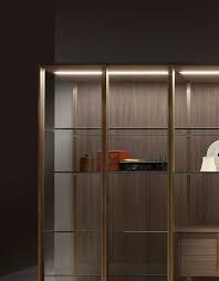 Whatever you collect or like to look at, display cabinets mean you can keep your favorite things on show but away from dust and sticky fingers. Modern Display Cabinet Ideal For Dining Rooms Or Living Rooms Idfdesign