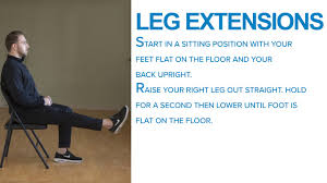 hnh fitness leg extensions you