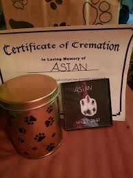 On that page you'll learn everything you need to know about urn sizes. Got My Cat S Ashes Back Today His Name Was Aslan Wellthatsucks