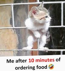 Animal Jokes In Hindi Funny Quotes In 2020 Funny Cartoon Memes Cute Funny Quotes Really Funny Memes