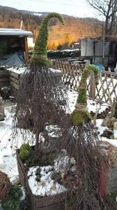 Gogas Garten Mit Bildern Aussendeko Weihnachten Deko Weihnachten