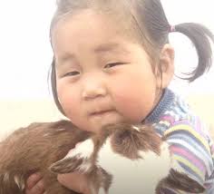 Ed and Gwen Hutchins Family Foundation