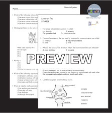 Image result for Neurology Worksheets