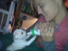 Whatever happened to Nicholas' little boy? Haven't seen him in forever. Did  I miss something?