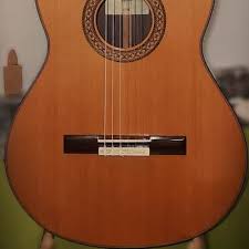 Image result for Brown 1980 HDC