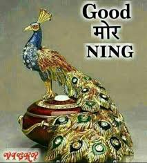 We did not find results for: Beautiful Peacock Good Morning Wallpaper Morning Images Good Morning Images