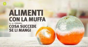 L'assunzione dietetica giornaliera pertanto cambia a seconda della quantità del consumo di vegetali e alimenti di origine animale. Alimenti Che Contengono Nichel Quali Sono Vediamo I Piu Comuni