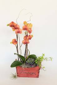 Zillow predicts the home values in 95125 will increase 5.6% (↑) in the next year. Coral Orchid Arrangement In San Jose Ca Flowers By Ivy