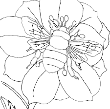 Honey Bee Coloring Pages Coloring Home However, this cute honey bee coloring page can make kids learn about focus, patients, creativity and imagination and even many more. honey bee coloring pages coloring home