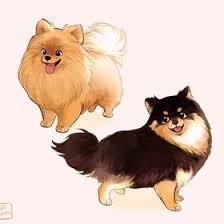 Pomeranian An Art Print By Beverly Johnson Cute Animal Drawings Animal Paintings Dog Art