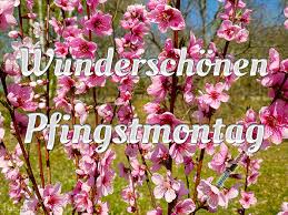 Pfingstmontag gb bild whatsapp und facebook bilderpfingstmontag gb bild gifs und animationen, 16372 pfingsten facebook pinnwand bilder Pfingstmontag Bilder 1gb Pics