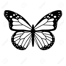A Black And White Vector Butterfly Royalty Free Cliparts Butterfly Drawing Butterfly Black And White Butterflies Vector