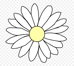 28 png, asters, transvaal daisies, daisies, flowers on transparent background. Chamomile Daisy White Free Vector Graphic On Pixabay Flower Outline Transparent Background Png Daisy Png Free Transparent Png Images Pngaaa Com