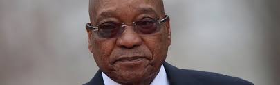 They aver that the court did not provide the former president with 'equal treatment under the law.' Jacob Zuma The Survivor Whose Nine Lives Ran Out Bbc News