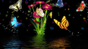 1920x1080 ultra hd 4k dragon wallpapers hd, desktop backgrounds 3840x2400. Fondos De Pantalla Para Pc De Mariposas 1920x1080 Download Hd Wallpaper Wallpapertip