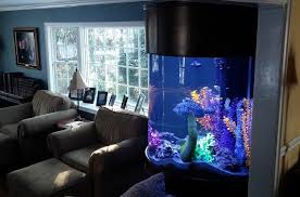 Beautiful Fish Tanks And Home Aquariums In 2020 Aquariums For Sale Glass Fish Tanks Large Fish Tanks