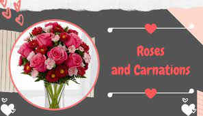 Check spelling or type a new query. Flowers You Can Pair With Rose To Make It Perfect Valentine Bouquet