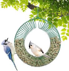 The blue jays compete in major league baseball as a member. The Best Bird Feeders For Blue Jays Birds And Blooms