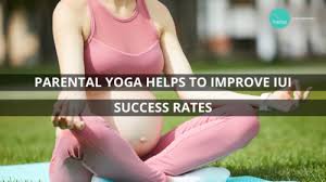But it's not limited to those familiar runner's lunges and pigeon poses you can benefit from (after a while, that same old. How Parental Yoga Helps To Improve Iui Success Rates