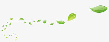 With these png images, you can directly use them in your design project without cutout. 15 Flying Leaves Png For Free On Mbtskoudsalg Flying Leaf Png Png Image Transparent Png Free Download On Seekpng
