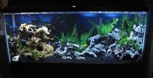 Awkatik S Freshwater Tanks Details And Photos Photo 16235 Aquarium Sand Fresh Water Fish Tank Fish Tank Decorations
