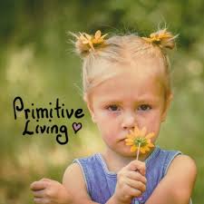 Primitive Living AR