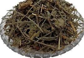 Image result for Cocculus hirsutus