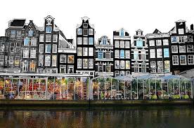Insider Tips On Things To Do In Amsterdam By A Local Amsterdam Travel Amsterdam Things To Do In Netherlands Travel