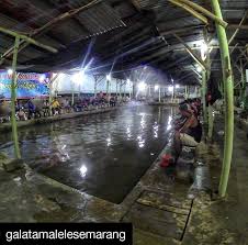 Galatama Lele Semarang Posts Facebook